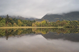 Muckross Lake, Killatney National Park, County Kerry, Munster, Republic of Ireland