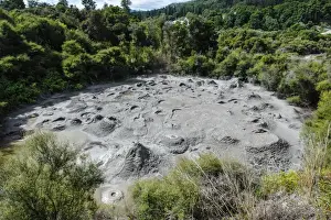 Bubbling Prints: Mud bubbles in a mud field in the Te Puia Maori Cultural Center