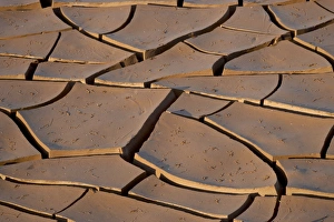 Cracks Prints: Mud cracks, Kruger National Park, South Africa, Africa