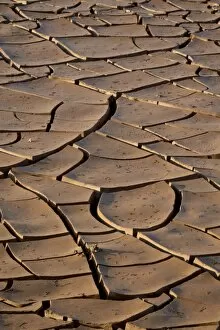 Images Dated 15th November 2007: Mud cracks, Kruger National Park, South Africa, Africa