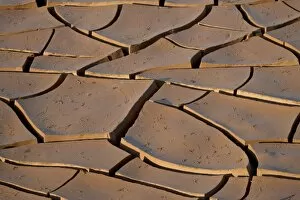 Mud cracks, Kruger National Park, South Africa, Africa