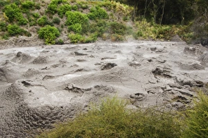 Taupo Prints: Mud Pool, Te Puia Wakarewarewa Geothermal Village