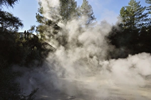 Mud Pools, Waiotapu Thermal Area, Waikato, North Island, New Zealand, Pacific