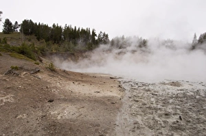 Images Dated 4th October 2007: Mud Volcano Area, Yellowstone National Park, UNESCO World Heritage Site