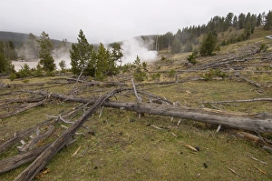 Images Dated 4th October 2007: Mud Volcano Area, Yellowstone National Park, UNESCO World Heritage Site