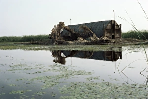 Marshes Prints: Mudhif (guest house)