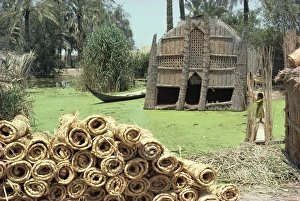 Meeting Houses Prints: Mudhif meeting house and reed mats ready for sale, Chobaish Marshes