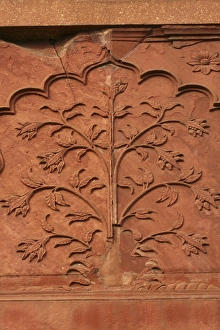 Images Dated 17th January 2008: Mughal architecture, Delhi, India, Asia
