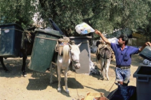 Mule used for collecting rubbish