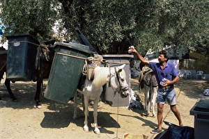 Waste Prints: Mule used for collecting rubbish