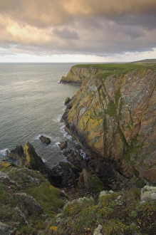 Images Dated 16th October 2008: Mull of Galloway, Scotlands most southerly point, Rhins of Galloway, Dumfries and Galloway