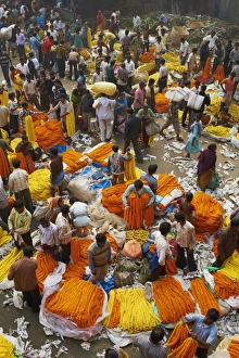 Buying Prints: Mullik Ghat flower market, Kolkata (Calcutta), West Bengal, India, Asia