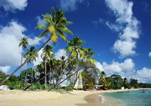 Vacations Prints: Mullins Beach, St Peter Parish, Barbados, Caribbean