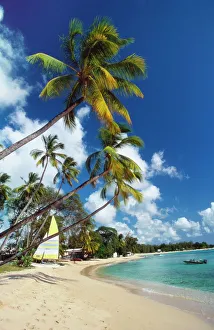 Vacations Prints: Mullins Beach, St Peters Parish, Barbados, Caribbean