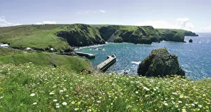 Cornwall Prints: Mullion Cove and the Cornish coast, Cornwall, England, United Kingdom, Europe