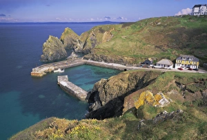 Surf Gallery: Mullion Cove, Cornwall, England, UK, Europe
