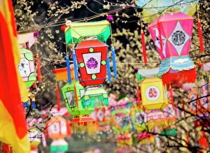 Multicolored handmade lanterns hang from trees in a park during the Chinese New Year Spring Festival, Chengdu, Sichuan