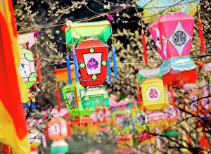 Festival Prints: Multicolored handmade lanterns hang from trees in a park during the Chinese New Year Spring Festival