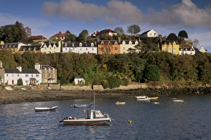 Multicoloured houses
