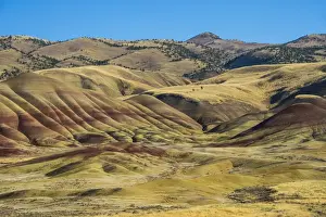 Paleontology Prints: Multicoloured strata in the Painted Hills unit in the John Day Fossil Beds National Monument
