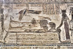 Animal Representation Prints: Mural, Osiris Awakening, Temple of Osiris and Opet, Karnak Temple Complex