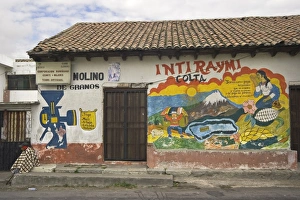 Images Dated 28th January 2005: Murals for cottage industries of local Colta Indians, a flour mill and womens craft business
