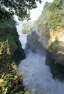 Victoria Nile Prints: Murchison Falls