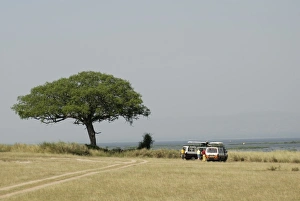 Murchison Falls area, Uganda, East Africa, Africa