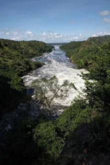 Uganda Prints: Murchison Falls, Murchison National Park, Uganda, East Africa, Africa