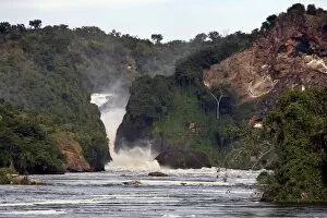 Images Dated 13th November 2007: Murchison Falls, Murchison National Park, Uganda, East Africa, Africa