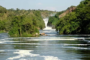 Murchison Falls, Victoria Nile, Uganda, East Africa, Africa