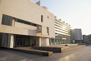 Museu d Art Comtemporani de Barcelona