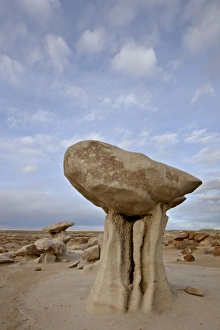 Images Dated 26th December 2010: Mushroom-like hoodoo, Bisti Wilderness, New Mexico, United States of America