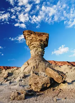 The Mushroom Rock Formation, Ischigualasto Provincial Park, UNESCO World Heritage Site