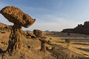 The mushroom rock formations, Ennedi Plateau, UNESCO World Heritage Site, Ennedi region