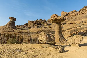The mushroom rock formations, Ennedi Plateau, UNESCO World Heritage Site, Ennedi region