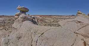 Spectacular Prints: Mushroom shaped sandstone spire on an eroded ridge west of Hamilili Point in Petrified Forest National Park