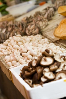Xining Prints: Mushroom stall at market, Xining, Qinghai, China, Asia