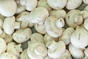 Pile Prints: Mushrooms for sale at the Sunday morning market