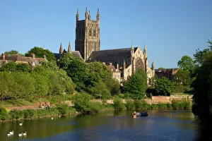 Spring Prints: Mute swans and barge on River Severn, spring evening, Worcester Cathedral