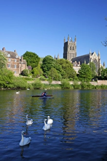 National Landmarks Prints: Mute swans and canoeists on River Severn, spring evening, Worcester Cathedral