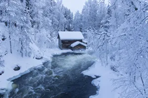 Finnish Culture Prints: Myllykoski rapids and old mill, Juuma, Oulanka National Park, Kuusamo, Lapland, Finland