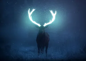 Male Animal Prints: A mystical red deer stag stands his ground