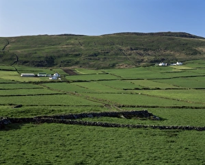 Co Cork Prints: The Mzen Peninsula