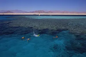 Sharm El Sheikh Prints: Nabaq National Park, Sharm El Sheikh (Sharm el-Sheikh), Egypt, North Africa, Africa
