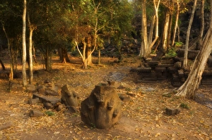 Serpent Prints: Naga serpent at the Beng Mealea Temple, Siem Reap, Cambodia, Indochina