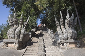 Serpents Prints: Nagas at Sop Ruak, Golden Triangle, Thailand, Southeast Asia, Asia