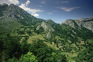 Cantabria Prints: Naranjo de Bulnes
