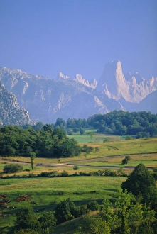 Images Dated 4th September 2008: Naranjo de Bulnes (peak)