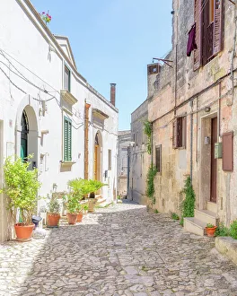 Potted Plant Prints: Narrow cobbled street in the old town of Matera, Basilicata, Italy, Europe